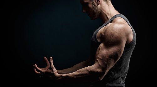 Gym Model